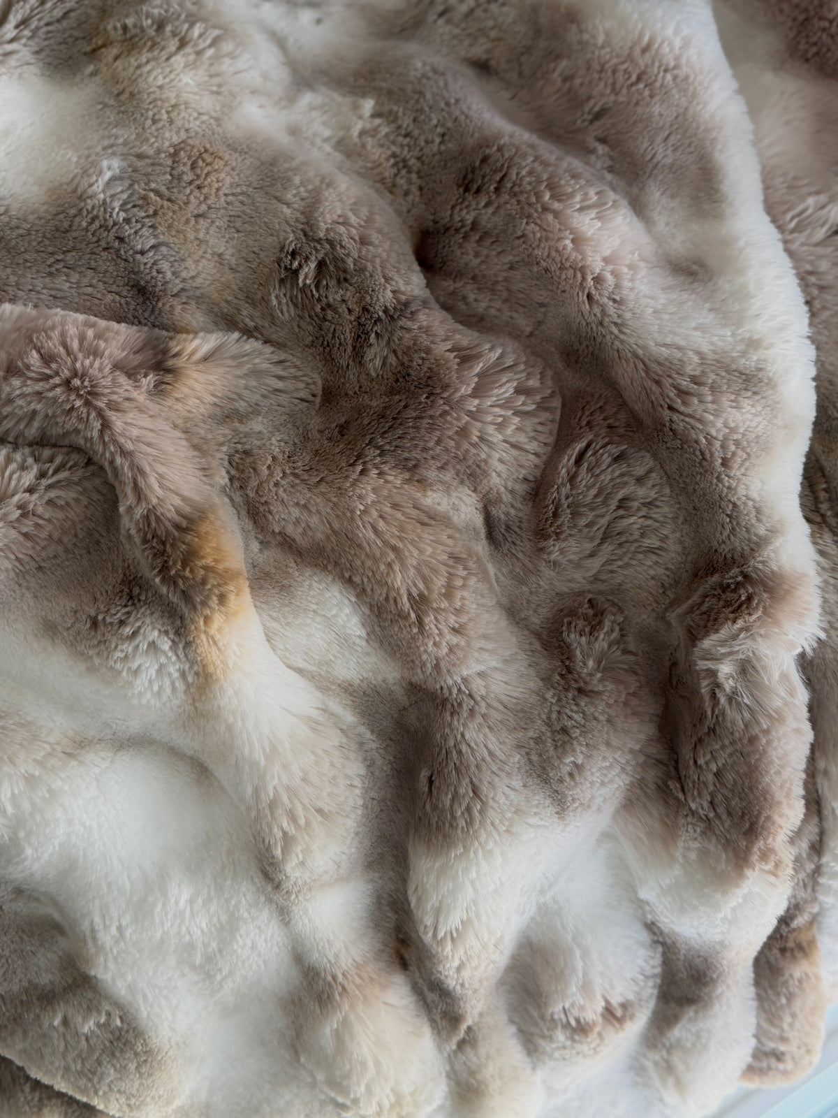Little Kneads —Toasted Coconut
