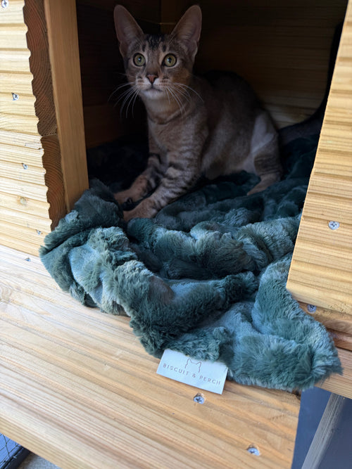 Catnip Dream luxury cat blanket by Biscuit & Perch