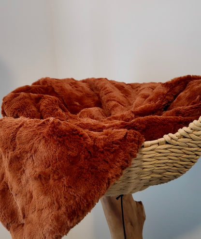 Orange Behavior rust orange luxury cat blanket by Biscuit & Perch