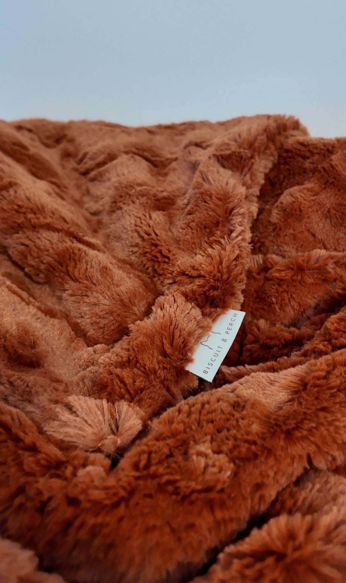 Orange Behavior rust orange luxury cat blanket by Biscuit & Perch