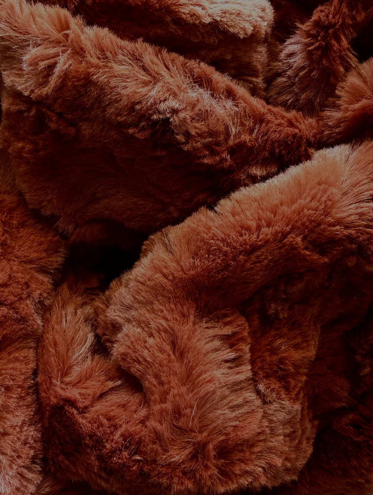 Orange Behavior rust orange luxury cat blanket by Biscuit & Perch